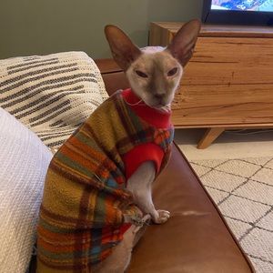 Meet your Posher, Megan